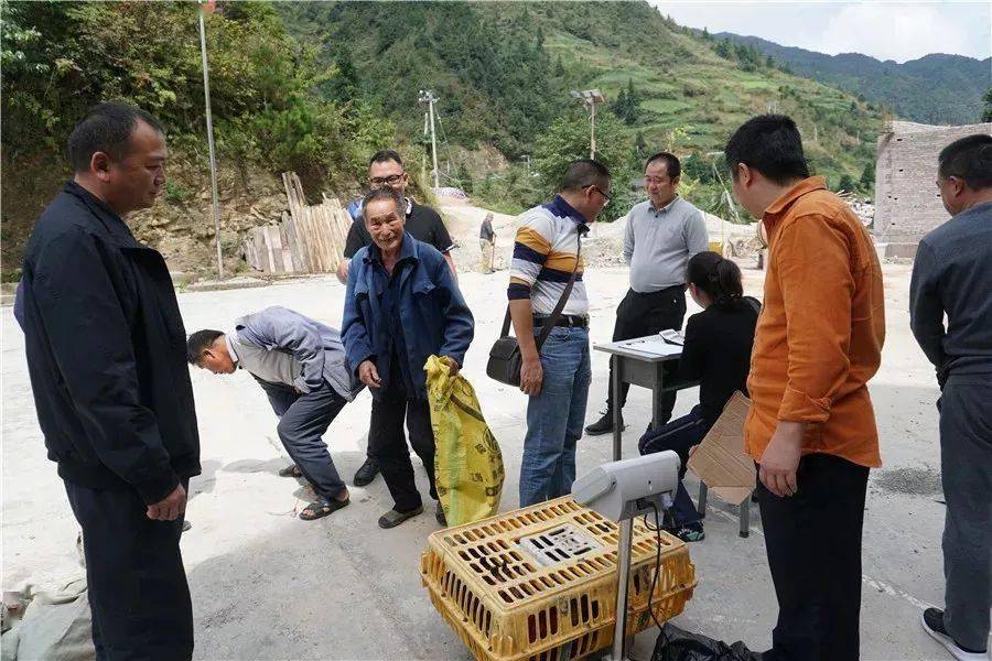 隆陽(yáng)區(qū)扶貧辦最新新聞，持續(xù)推進(jìn)脫貧攻堅(jiān)，助力鄉(xiāng)村振興