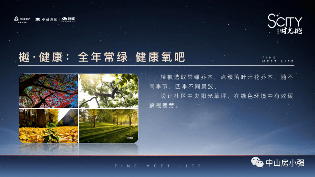 洞朗事件最新消息，進展與影響分析