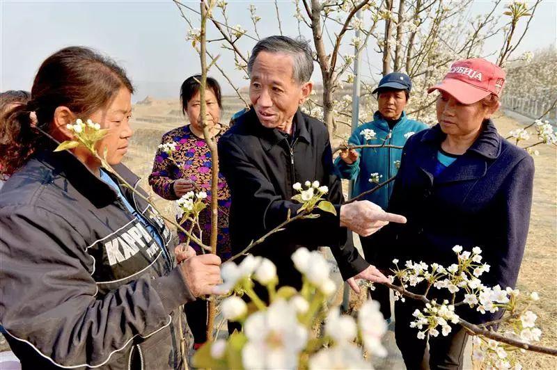 阜平縣城最新規(guī)劃圖，塑造未來城市的藍(lán)圖