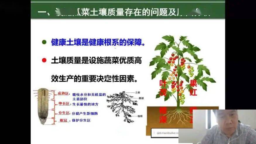最新招聘果樹技術(shù)人員，掌握果樹科學，助力綠色產(chǎn)業(yè)發(fā)展