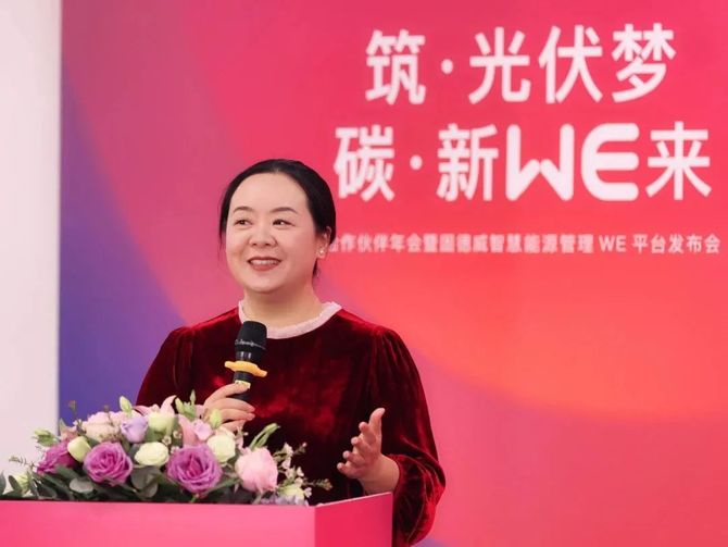 南方電網(wǎng)譚瓊的最新動態(tài)，引領(lǐng)數(shù)字化轉(zhuǎn)型，助力能源革命