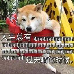 警惕虛假預(yù)測，今晚澳門特馬開什么與四不像的真相揭秘
