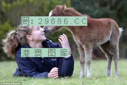 澳門平特一肖，揭秘預(yù)測(cè)準(zhǔn)確率背后的真相