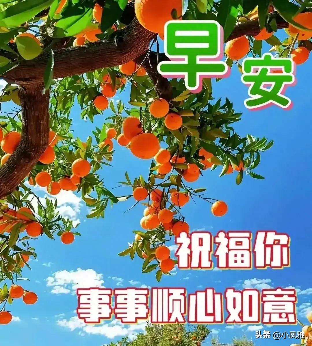 探索與分享，2024天天彩全年免費(fèi)資料的深度解析
