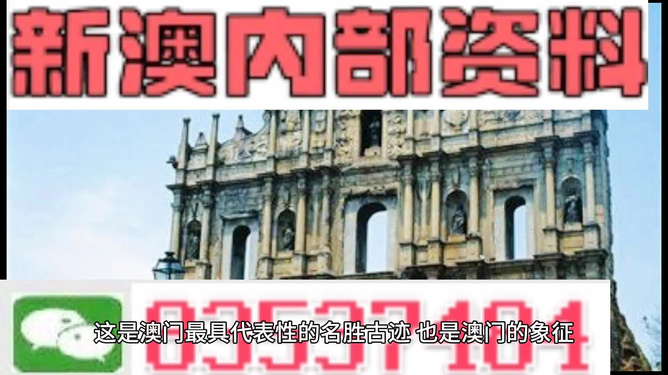 新澳2024正版免費(fèi)資料，探索與啟示