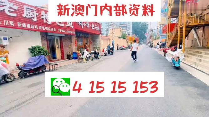 新2024年澳門天天開好彩，探索彩票文化的新紀元
