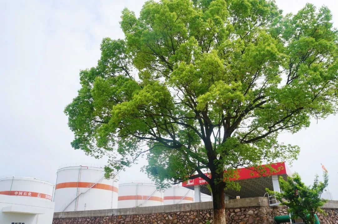 揭秘2024年管家婆一獎(jiǎng)一特一中背后的奧秘