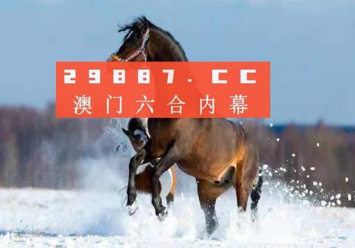 澳門一肖一碼一必中一肖同舟前進(jìn)，探索與希望