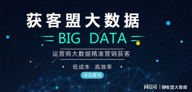 新奧天天精準(zhǔn)資料大全，探索與解析