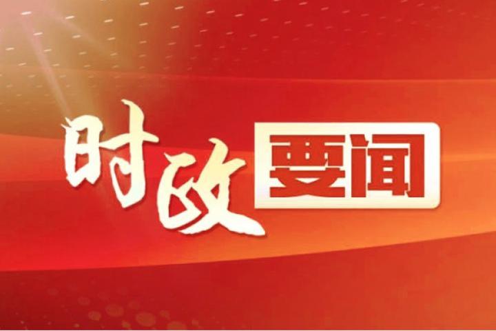 新澳門特免費資料大全與管家婆，探索與解讀