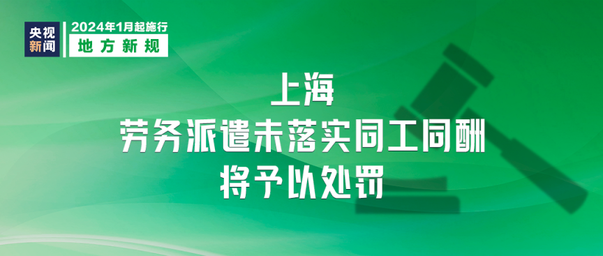 探索與分享，2024正版資料大全的免費資源世界