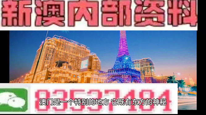 新澳門跑狗圖今晚特，探索未知，期待驚喜