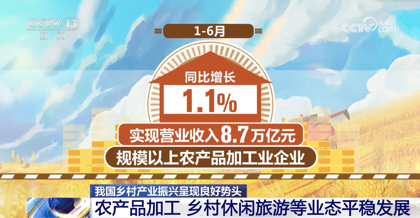 新澳門免費資料大全在線查看，探索與解讀