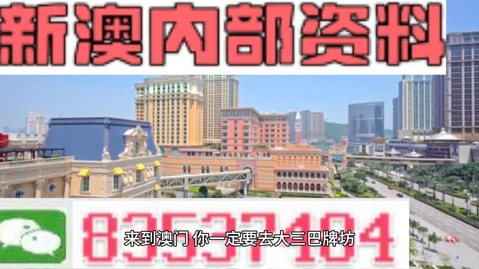 新澳門全年資料內(nèi)部公開，深度解讀與探索