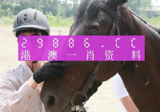 澳門一肖一碼一特一中云騎士，探索神秘與魅力的交匯點(diǎn)