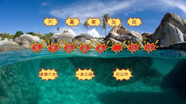 澳門(mén)天天開(kāi)好彩大全，探索與期待第65期的精彩瞬間