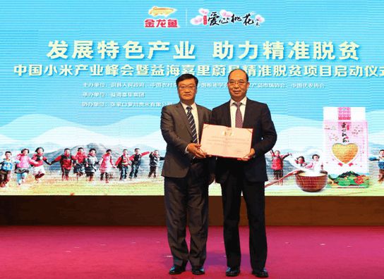 新澳免費(fèi)資料大全精準(zhǔn)版，探索與解析