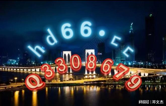 新澳資料大全正版資料2024年免費，全面解析與前瞻性探討