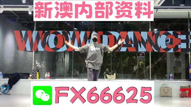 管家婆一碼一肖一種大全，揭秘神秘預(yù)測背后的故事