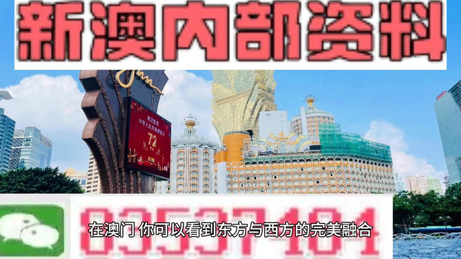 新澳今天最新資料網(wǎng)站，探索與啟示