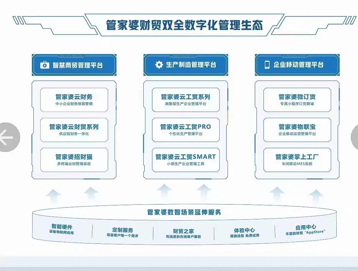 未來的管家婆，2024年管家婆100的崛起