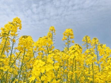 周末龍門陣最新一期，深度探討與生活的新發(fā)現(xiàn)