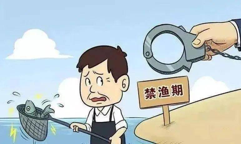 新澳六最準(zhǔn)精彩資料背后的風(fēng)險(xiǎn)與應(yīng)對——揭示違法犯罪問題的重要性