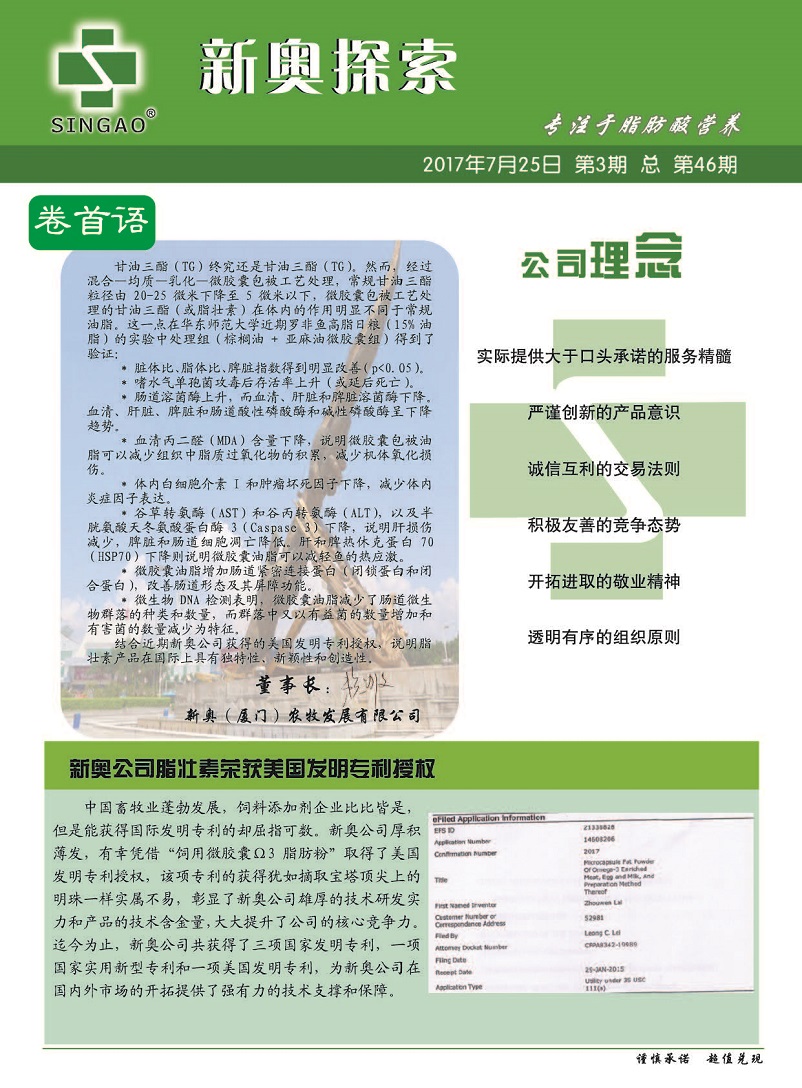新澳2024大全正版免費(fèi)資料，探索與解析