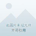 衡水小區(qū)房價最新排名，市場分析與趨勢預測