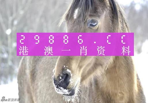 澳門精準(zhǔn)一肖一碼100%，揭示背后的犯罪問題