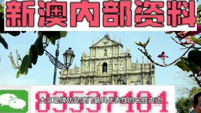 新澳門特免費資料大全管家婆，探索澳門的新機遇與挑戰(zhàn)