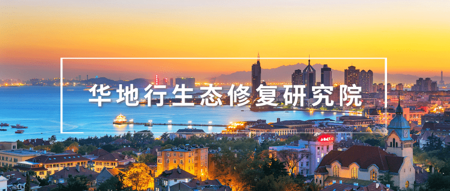 三穗建市最新消息2016，發(fā)展與變化的深度探討