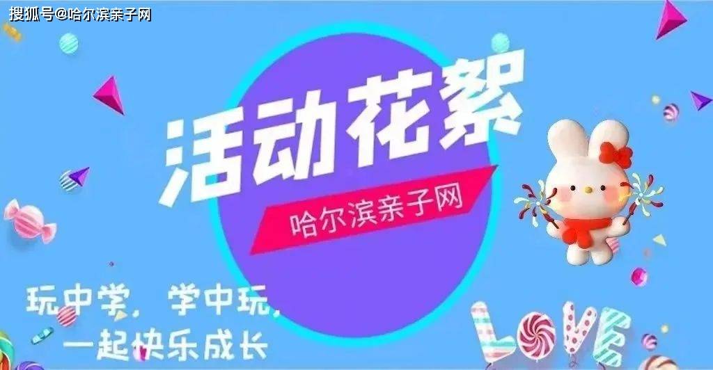 2024天天開彩資料大全免費，探索彩票世界的奧秘與機遇