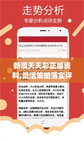 新奧天天免費(fèi)資料單雙，探索與解析