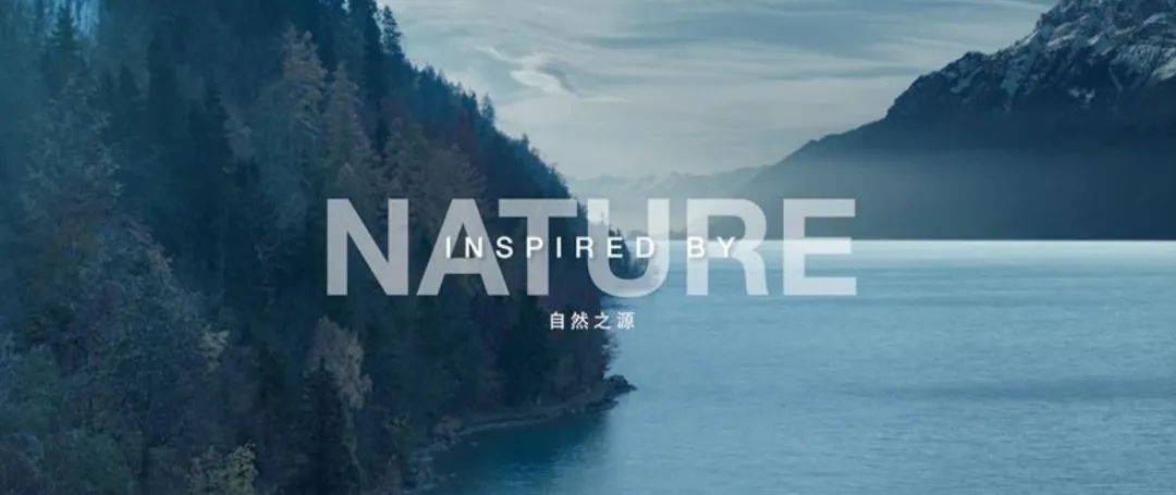 水沐晨光最新章節(jié)閱讀，探尋未知的奇幻世界