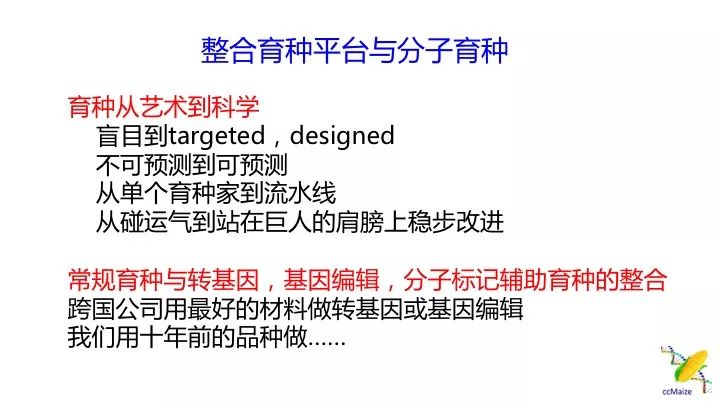 新澳天天開獎資料大全，揭示背后的風(fēng)險與挑戰(zhàn)