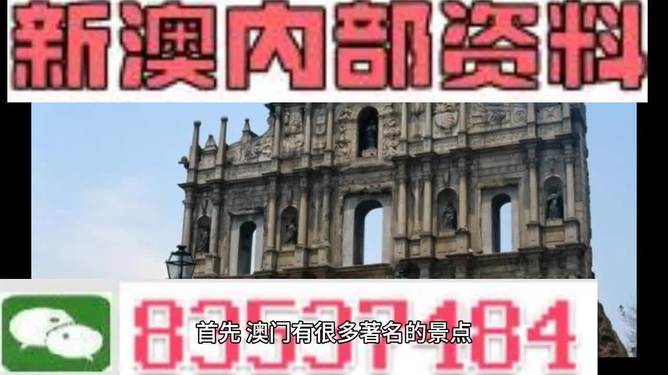 澳門高級(jí)內(nèi)部VIP資料，犯罪行為的警示與反思