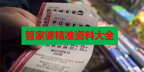 管家婆精準資料免費大全香港，深度解析與實用指南