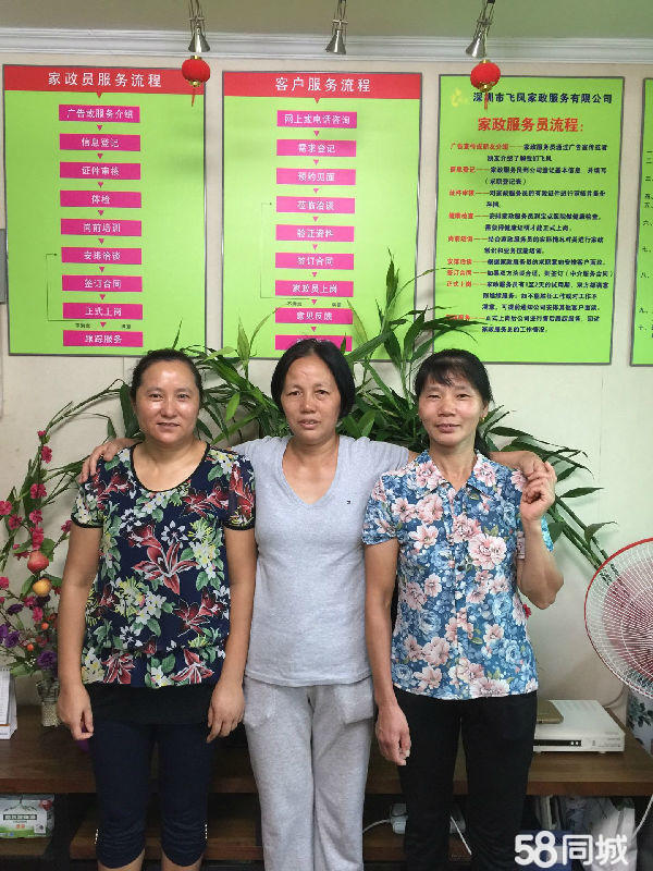薛城最新的鐘點(diǎn)工招聘，探索靈活就業(yè)的新機(jī)遇