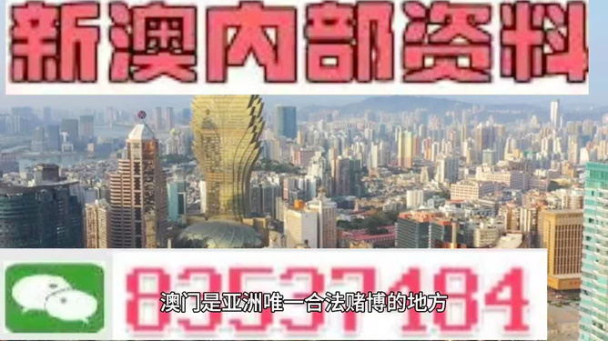 新澳精準(zhǔn)資料，探索其背后的力量與價值