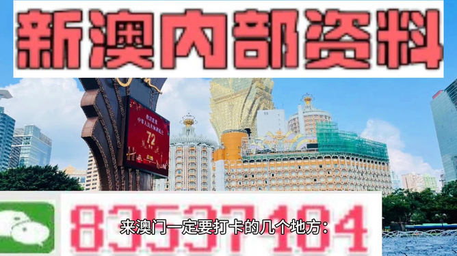 新澳門最準資料免費長期公開，探索真實與公開的奧秘