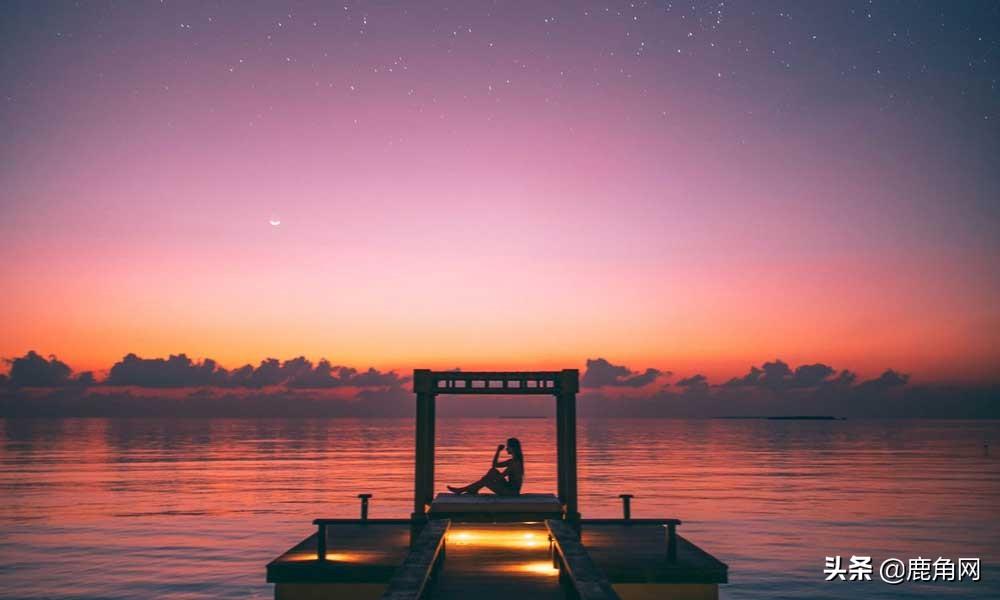 全年資料免費大全，探索無界限的知識海洋