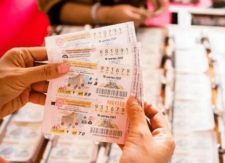 澳門平特一肖，揭秘預(yù)測準(zhǔn)確性的真相