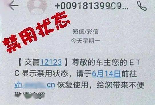 警惕虛假信息陷阱，新澳門資料全年免費(fèi)精準(zhǔn)背后的風(fēng)險(xiǎn)