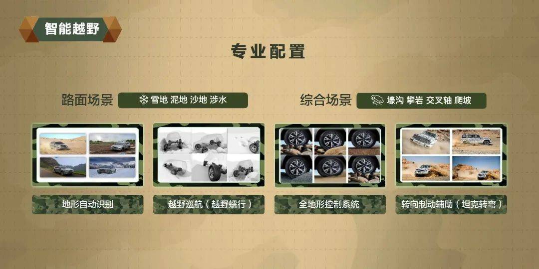 香港100%最準(zhǔn)一肖中，揭秘生肖預(yù)測的神秘面紗