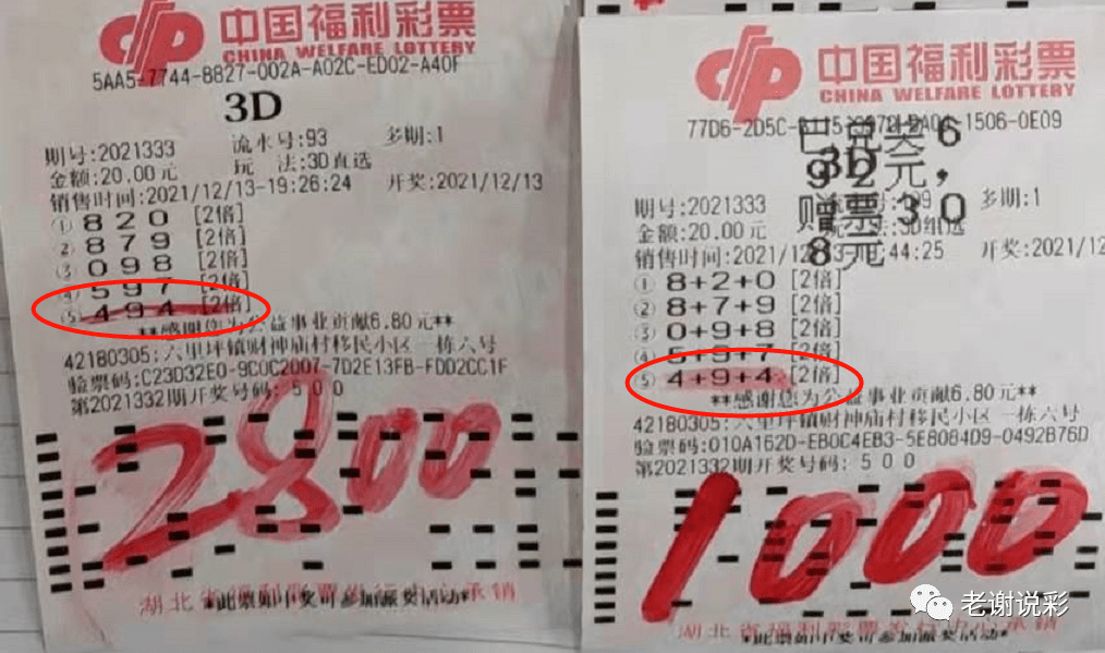 澳門天天開好彩與香港彩票市場(chǎng)——違法犯罪問題探討