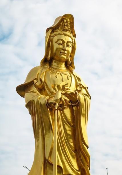 探索未來(lái)財(cái)富之路，2024天天彩正版資料大全十解析