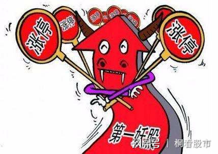 一碼一肖，揭秘生肖預測背后的真相與風險