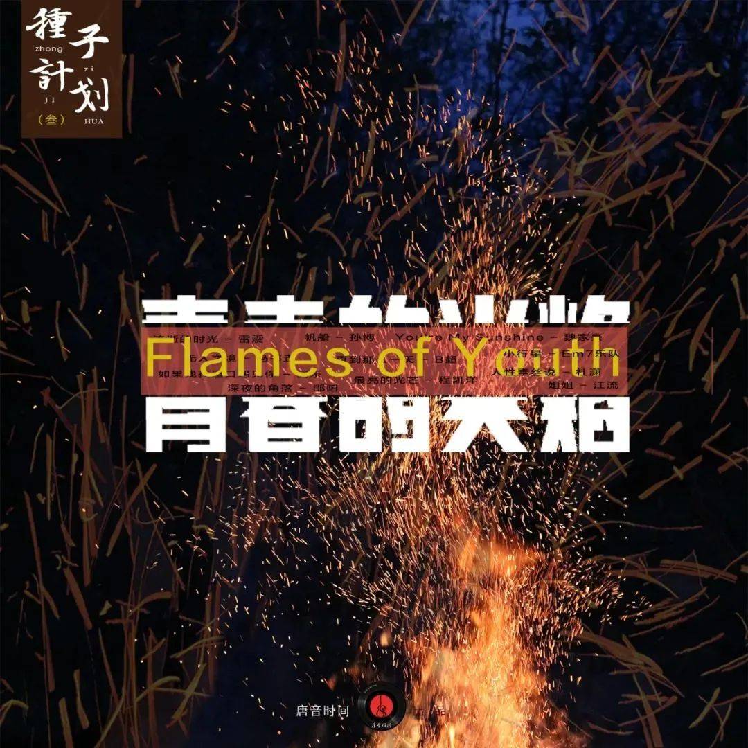 奔跑最新一期英文歌曲，探索音樂的力量與激情