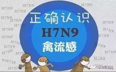 香港H7N9最新消息2017，流感監(jiān)測(cè)與防控進(jìn)展
